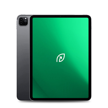 REBORN® Apple iPad Pro 11 2021 WiFi 256GB - Obnovljeni iPad s 1-godišnjom garancijom - C