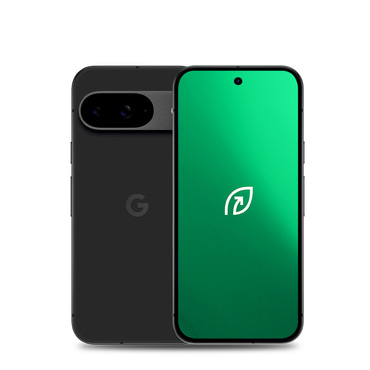 REBORN® Google Pixel 9 (256GB) - Obnovljeni Pixel s 1-godišnjom garancijom - B