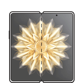 Honor Magic V6